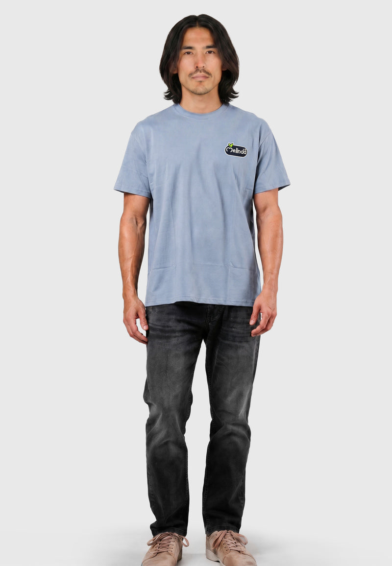 T-shirt Melinda Collection, azzurro, modello uomo, indossato per intero