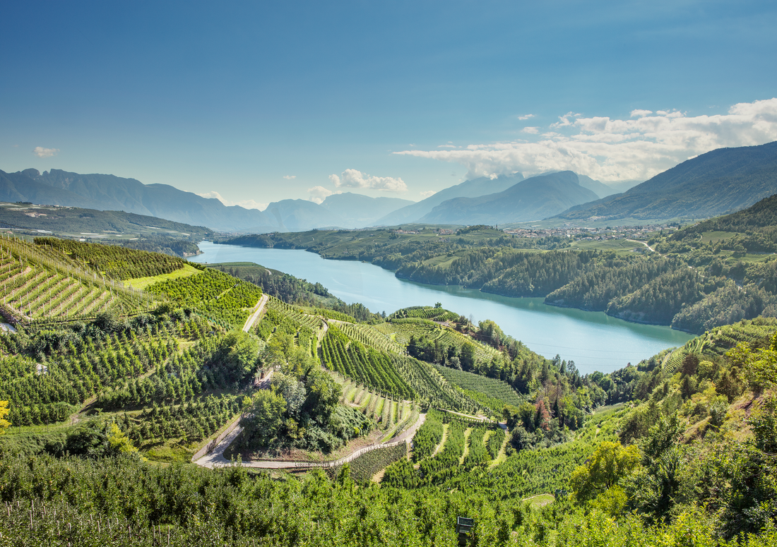 Meleti sulle colline intorno a un lago di montagna